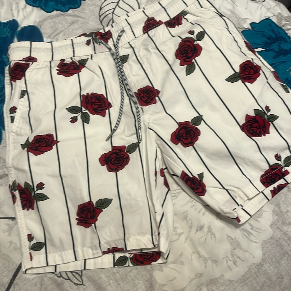 Cactus Man Ricky Singh Rose Shorts Size L